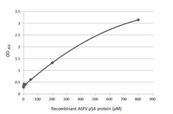 African Swine Fever Virus p54 Antibody (HL1287) - Azide and BSA Free, Novus