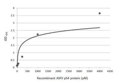 African Swine Fever Virus p54 Antibody (HL1289) - Azide and BSA Free, Novus