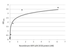 African Swine Fever Virus p54 Antibody (HL1289) - Azide and BSA Free, Novus