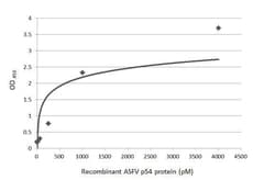 African Swine Fever Virus p54 Antibody (HL1289) - Azide and BSA Free, Novus
