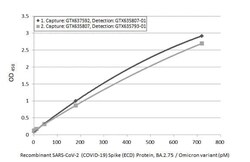 SARS-CoV-2 Spike RBD Antibody (HL1867) - Omicron Variant - Azide and BSA