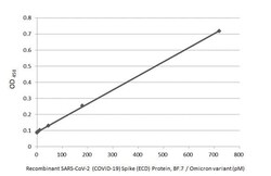 SARS-CoV-2 Spike RBD Antibody (HL1867) - Omicron Variant - Azide and BSA