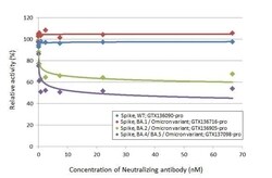 SARS-CoV-2 Spike RBD Antibody (HL1867) - Omicron Variant - Azide and BSA