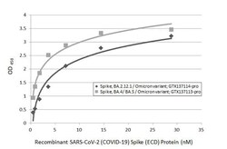 SARS-CoV-2 Spike RBD Antibody (HL1867) - Omicron Variant - Azide and BSA