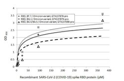 SARS-CoV-2 Spike RBD Antibody (HL1867) - Omicron Variant - Azide and BSA