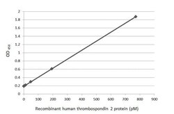 Thrombospondin-2 Antibody (HL1194) - Azide and BSA Free, Novus Biologicals 100 &mu;L | Buy Online | Novus Biologicals | Fisher Scientific
