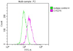 TTF-1/ NKX2-1 Antibody (6C11), Novus Biologicals 50 &mu;L; Unconjugated:Antibodies,