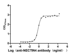 Nectin-4/PVRL4 Antibody (6D3), Novus Biologicals 50 &mu;L; Unconjugated:Antibodies,