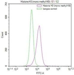 HIST1H3A, Monomethyl Lys9 Antibody (13E1), Novus Biologicals 100 &mu;L;