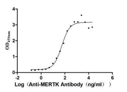 Mer Antibody (8H11), Novus Biologicals:Antibodies:Primary Antibodies