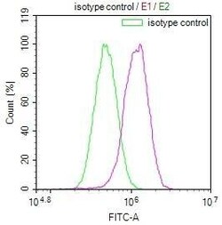 JNK3 Antibody (29E10), Novus Biologicals 50 &mu;L; Unconjugated:Antibodies,