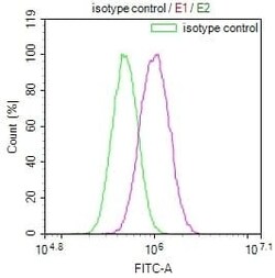 MAdCAM-1 Antibody (12B5), Novus Biologicals 100 &mu;L; Unconjugated:Antibodies,