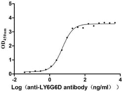 Gr-1/Ly-6G Antibody (8I8), Novus Biologicals:Antibodies:Primary Antibodies