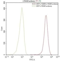 Gr-1/Ly-6G Antibody (8I8), Novus Biologicals:Antibodies:Primary Antibodies
