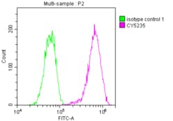 LDLR Antibody (2B10), Novus Biologicals 50 &mu;L; Unconjugated:Antibodies,