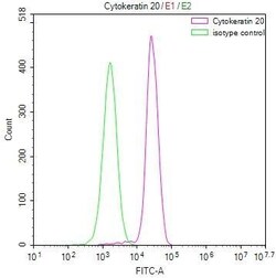 Cytokeratin 20 Antibody (17A11), Novus Biologicals 100 &mu;L; Unconjugated:Antibodies,