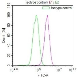 KLRG1 Antibody (8E11), Novus Biologicals:Antibodies:Primary Antibodies