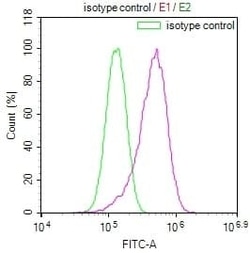 ISG15/UCRP Antibody (16D8), Novus Biologicals:Antibodies:Primary Antibodies