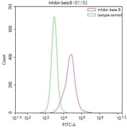 Inhibin beta B Antibody (34B10), Novus Biologicals 50 &mu;L; Unconjugated:Antibodies,