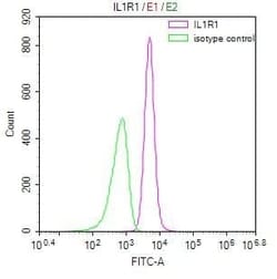 IL-1 RI Antibody (10E2), Novus Biologicals 50 &mu;L; Unconjugated:Antibodies,