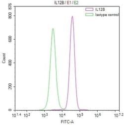 IL12B Antibody (10B10), Novus Biologicals 50 &mu;L; Unconjugated:Antibodies,