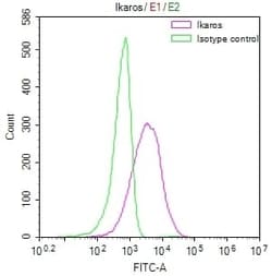 Ikaros/IKZF1 Antibody (21E9), Novus Biologicals:Antibodies:Primary Antibodies