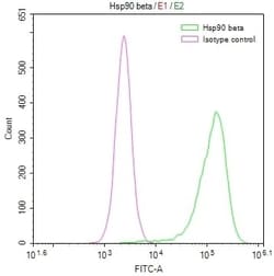 HSP90 beta Antibody (7F4), Novus Biologicals 50 &mu;L; Unconjugated:Antibodies,