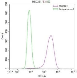 HSD3B1 Antibody (10G2), Novus Biologicals:Antibodies:Primary Antibodies