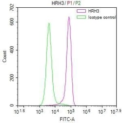 Histamine H3R Antibody (27H8), Novus Biologicals 100 &mu;L; Unconjugated:Antibodies,