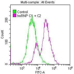 hnRNP C1 + C2 Antibody (9G1), Novus Biologicals 100 &mu;L; Unconjugated:Antibodies,