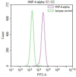 HNF-4 alpha/NR2A1 Antibody (10A7), Novus Biologicals 100 &mu;L; Unconjugated:Antibodies,