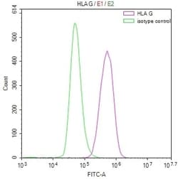 HLA G Antibody (17A5), Novus Biologicals 50 &mu;L; Unconjugated:Antibodies,
