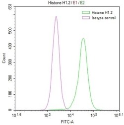 Histone H1.2 Antibody (16H4), Novus Biologicals:Antibodies:Primary Antibodies