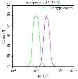 FIH-1/HIF-1AN Antibody (12F11), Novus Biologicals 50 &mu;L; Unconjugated:Antibodies,