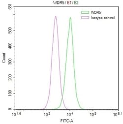WDR5 Antibody (18D11), Novus Biologicals:Antibodies:Primary Antibodies