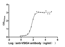 VSIG4 Antibody (12D12), Novus Biologicals 100 &mu;L; Unconjugated:Anticuerpos