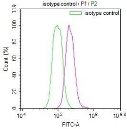 USP22 Antibody (18H6), Novus Biologicals 100 &mu;L; Unconjugated:Antibodies,