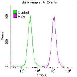 PBR Antibody (23G2), Novus Biologicals 50 &mu;L; Unconjugated:Antibodies,
