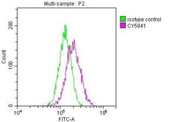 TRAF-2 Antibody (9A5), Novus Biologicals 100 &mu;L; Unconjugated:Antibodies,