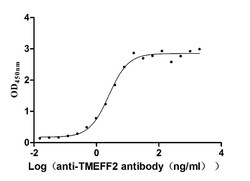 TMEFF2/Tomoregulin-2 Antibody (6G6), Novus Biologicals:Antibodies:Primary