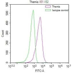 Themis Antibody (7G7), Novus Biologicals 50 &mu;L; Unconjugated:Antibodies,
