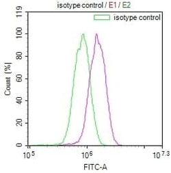 TBK1 Antibody (14D10), Novus Biologicals:Antibodies:Primary Antibodies