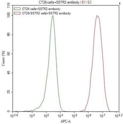 Somatostatin R2/SSTR2 Antibody (7A9), Novus Biologicals 100 &mu;L; Unconjugated:Antibodies,