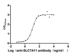xCT Antibody (23H6), Novus Biologicals 100 &mu;L; Unconjugated:Antibodies,