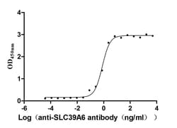 LIV-1/Zip6 Antibody (13F1), Novus Biologicals:Antibodies:Primary Antibodies