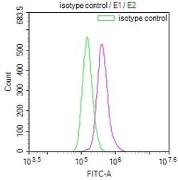 Glut3 Antibody (14B1), Novus Biologicals:Antibodies:Primary Antibodies
