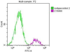 SDHB Antibody (7D12), Novus Biologicals:Antibodies:Primary Antibodies
