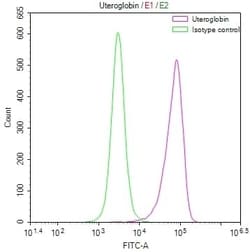 Uteroglobin/SCGB1A1 Antibody (21B2), Novus Biologicals:Antibodies:Primary