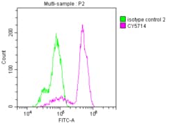 COX-1 Antibody (6B6), Novus Biologicals:Antibodies:Primary Antibodies