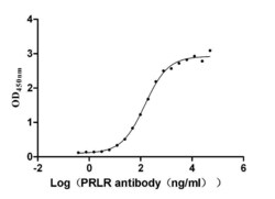 Prolactin R Antibody (1D3), Novus Biologicals 100 &mu;L; Unconjugated:Antibodies,